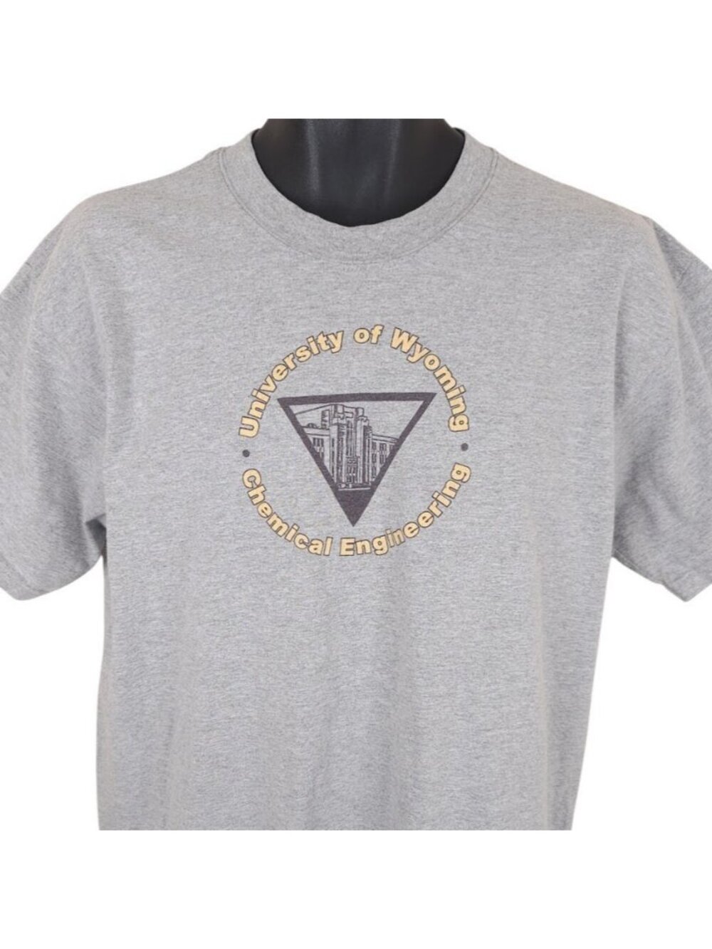 Vintage Wyoming Cowboys T Shirt Mens Size Large Gray Y2K Chemical Engineering